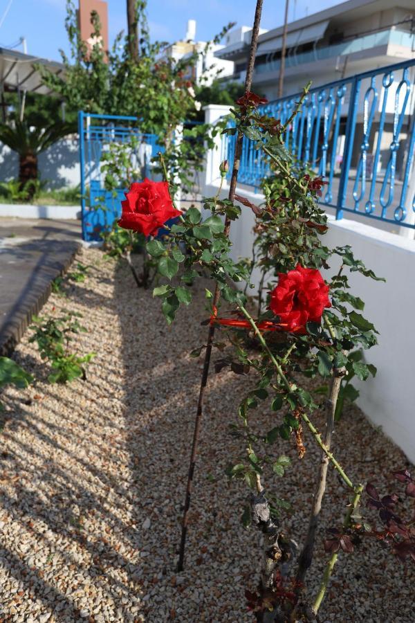 Traditional Town Garden Apartment Rhodes City Eksteriør bilde